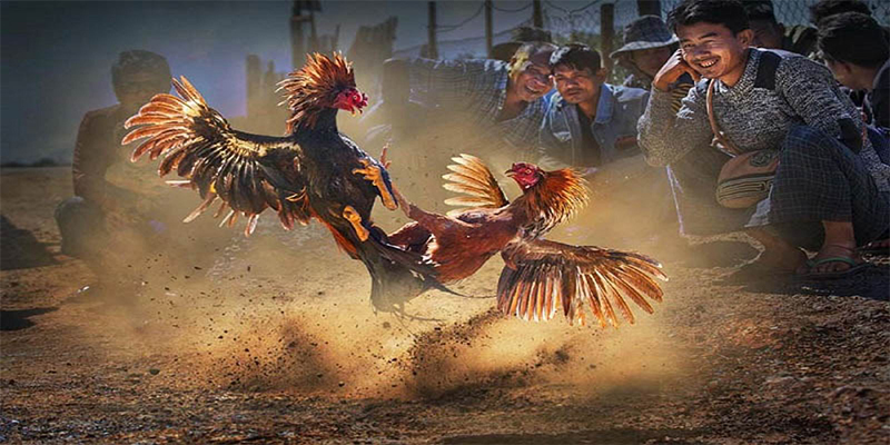 123win01 chơi bắn cá đổi thưởng