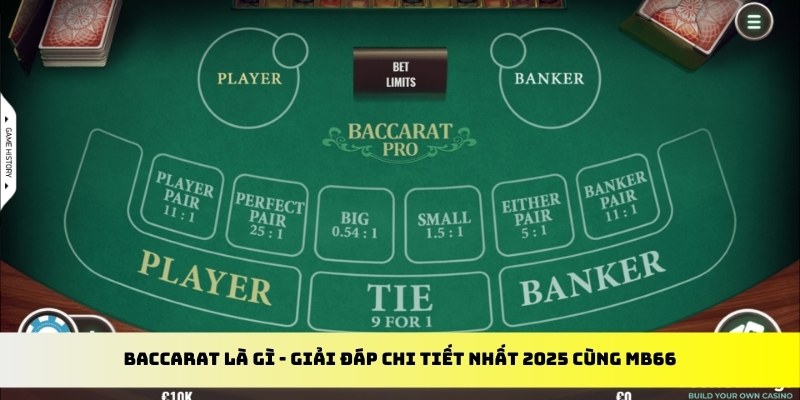123win01 gà chọi cu cần