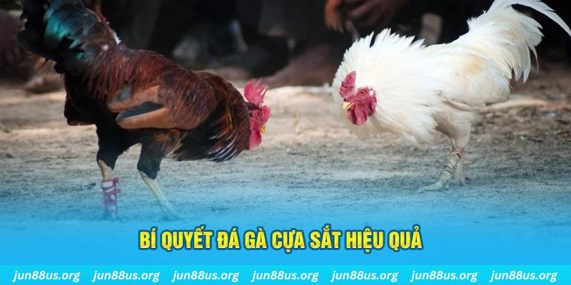 123win01 xin 1 slot là gì