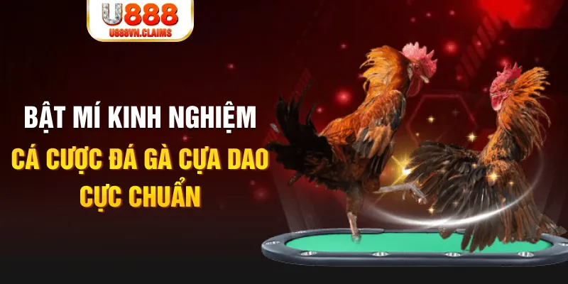 123win01 tỷ lệ cá cược châu á là gì