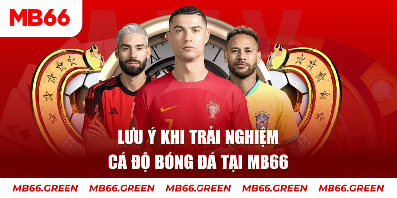 123win01 cá cược là gì