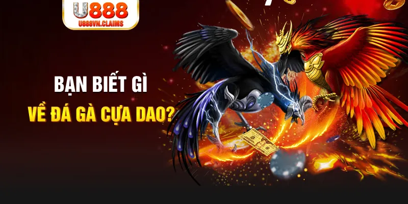 123win01 nổ hủ là gì