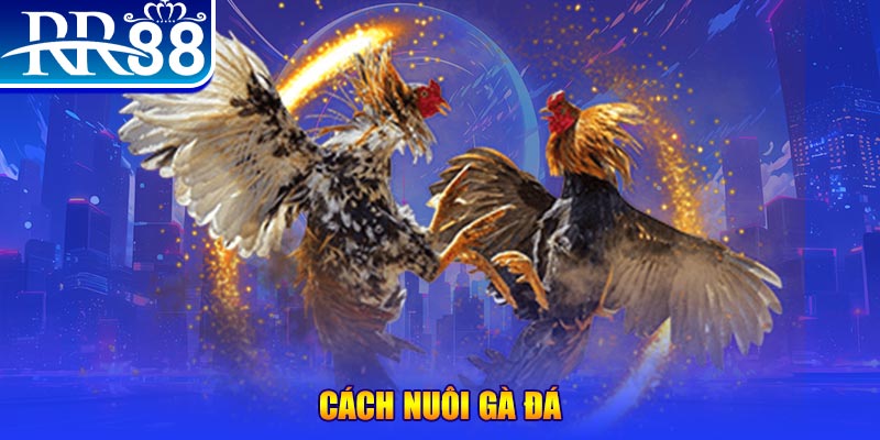 123win01 xổ số an giang