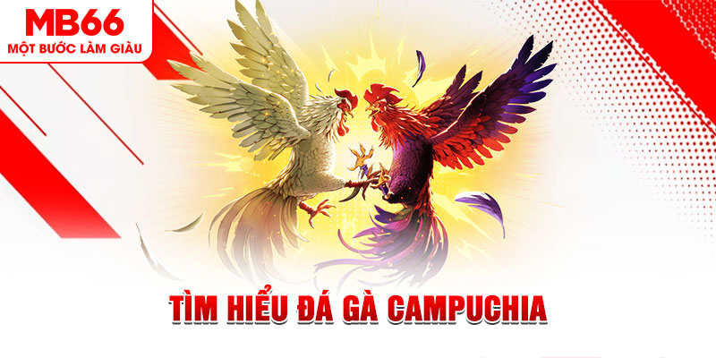 123win01 game đánh bài trên máy tính