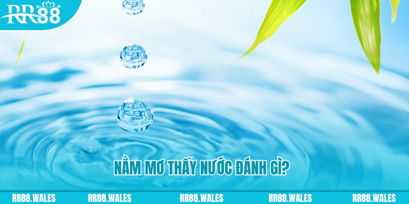 123win01 TP Bắn cá