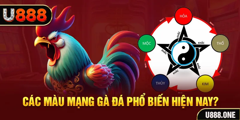 123win01 trực tiếp đá gà 88
