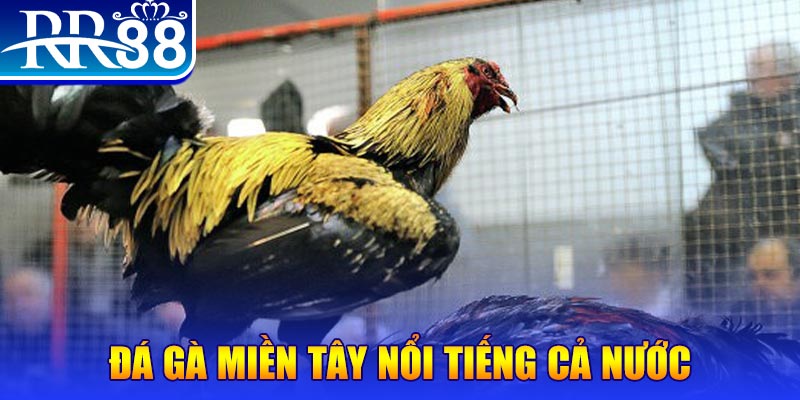 123win01 JILI Game Bài 3d