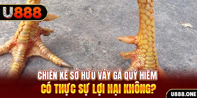 123win01 nohu .mx nổ hủ là gì