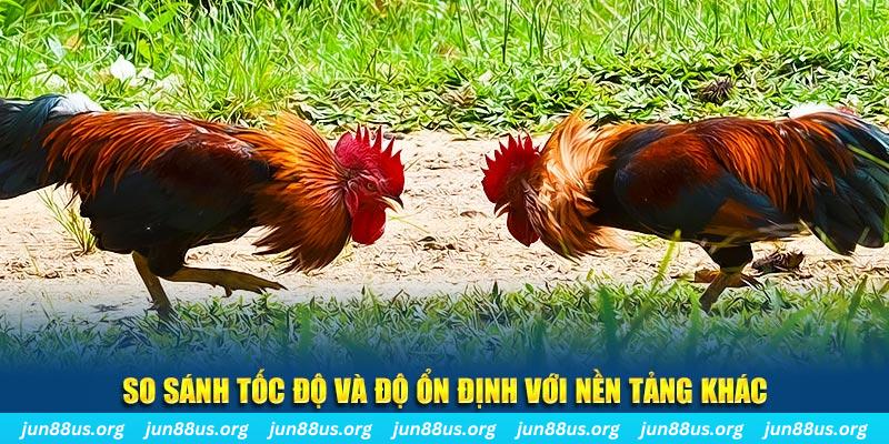 123win01 đá gà hôm nay