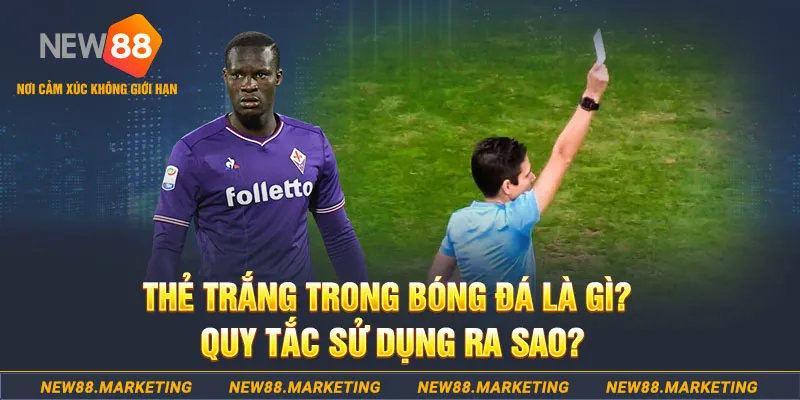 123win01 gà chọi mộc hóa