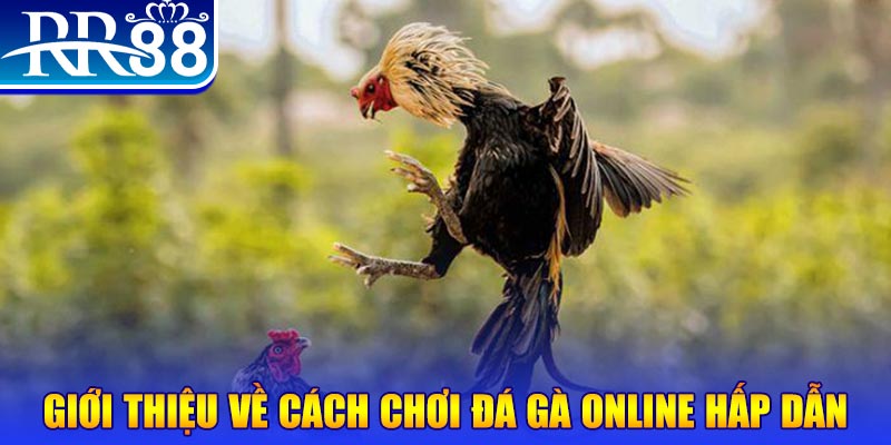 123win01 game nổ hũ rút tiền mặt là gì