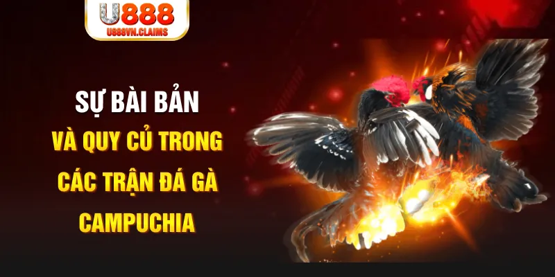 123win01 YGR Điện Tử