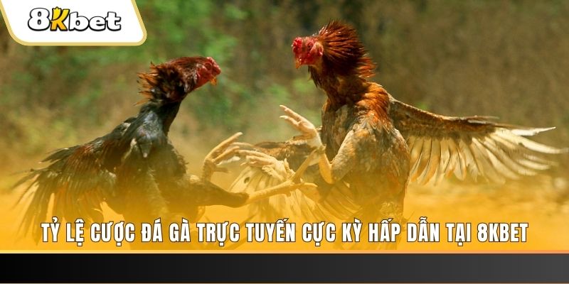 123win01 xổ số trực tiếp miền bắc