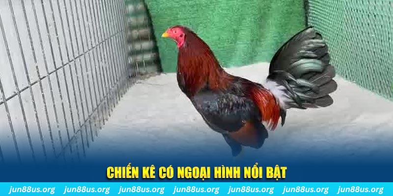 123win01 chạy quảng cáo cho game bài bị phạt như thế nào