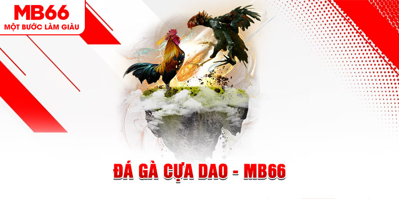 123win01 đá gà sv388 gold